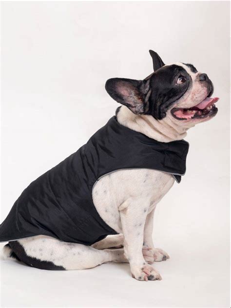 Winter Flex Dog Jacket – HankPets | HANK