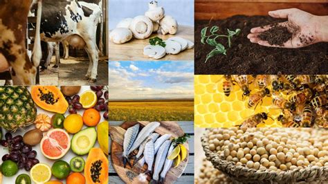 41 Small Agricultural Business Ideas
