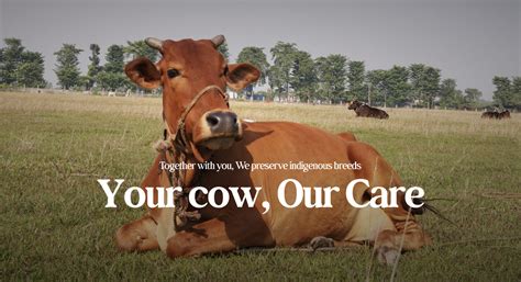 Gomini - India's Transparent Cow Preservation