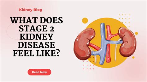 What Does Stage 2 Kidney Disease Feel Like?