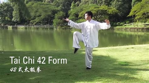 Tai Chi 42 Form (42式太极拳)