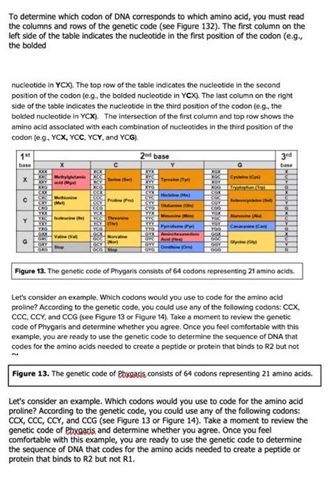 How to Code DNA Sequence Practice 的图像结果