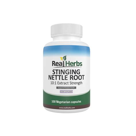 The Benefits of Stinging Nettle Root: A Comprehensive Guide – Real Herbs - stinging of urine
