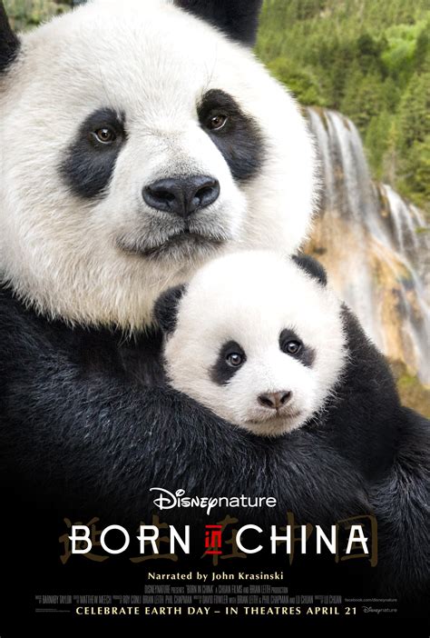 《我们诞生在中国》海报
