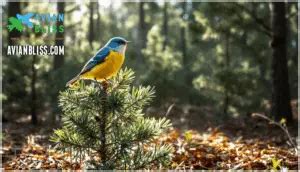 Image result for Contour Color Code