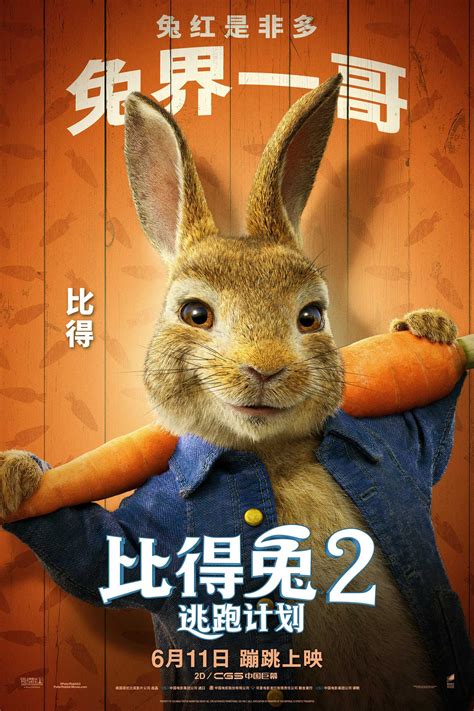 《比得兔2》发布角色预告 萌兔天团毛茸茸来袭！_长江云 - 湖北网络广播电视台官方网站
