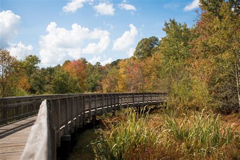 A Perfect Fall Bike Ride on the Neuse River Greenway Trail in Raleigh, N.C.
