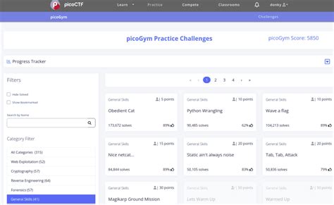 Image result for PicoCTF Python Challenges
