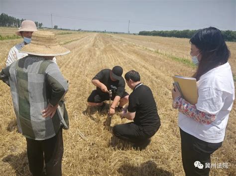 案例探析：农村土地承包经营权占用土地补偿款纠纷探析 - 知乎