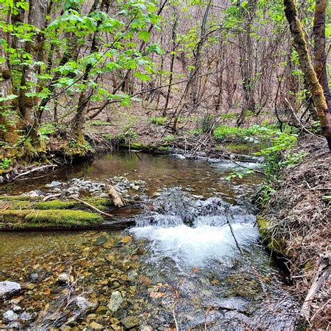 Buy and Sell in Redding, California | Facebook Marketplace