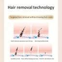 Phillauri Painless Hair Removal Cream | Hair Removal Cream - Price in ...