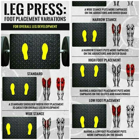 Leg Press foot placement variations | Leg workouts gym, Gym workout ...