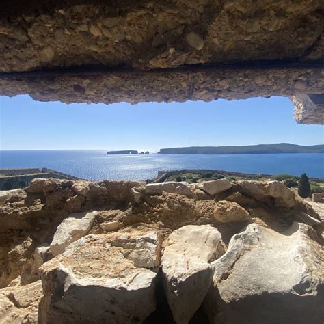 Trade of Civilization 的图像结果