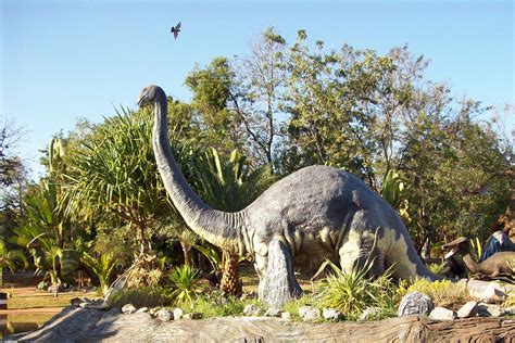 Paleontologists Uncover First Known Tracks From Club-Tailed Armored ...