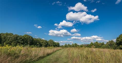 Image result for Computer Network Facts