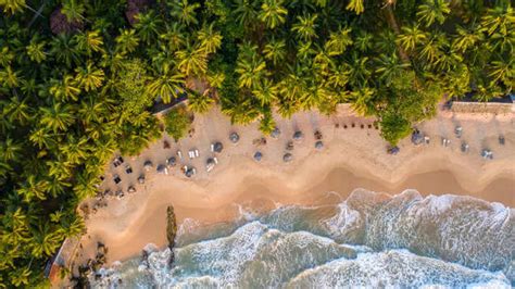 Sri Lanka offers visa-free travel for Indians | TimesTravel