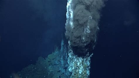 Mariana Trench photos and videos | U.S. Fish & Wildlife Service