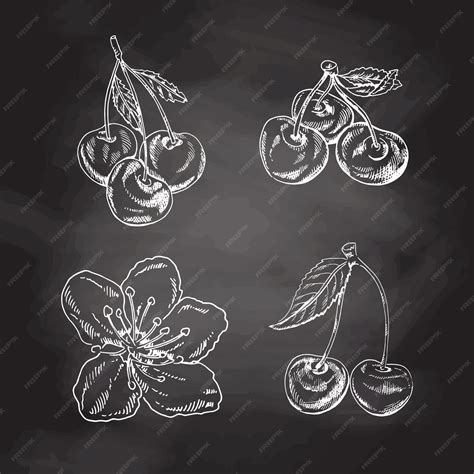Premium Vector | Hand drawn cherries and flower on black background