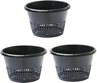 Kolkata Orchid Online ORCHID PLANT POT Plastic 8 Inch Orchid ...