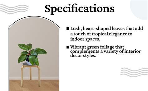 Indian Gardens - Philodendron live plant with Colour pot | indoor plant ...