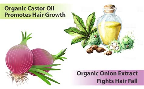 Buy The Enq Onion & Castor Hair Oil, Green, 100 ml Online at Low Prices ...