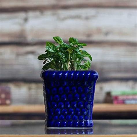 Ugaoo Honeycomb Ceramic Pot (Blue) : Amazon.in: Garden & Outdoors