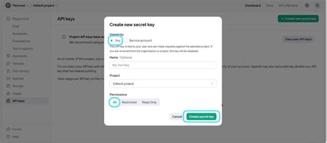 Openai API Key Sample Code 的图像结果