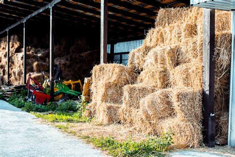 How Much Is a Bale of Hay? Hay Prices 2026