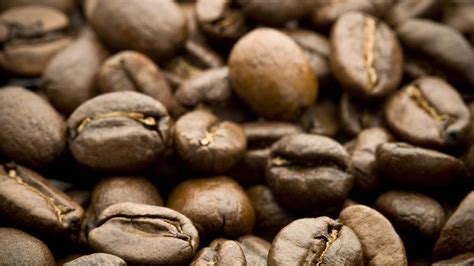 Indigenous Cuisine of Costa Rica: Foodie Treasures with a History