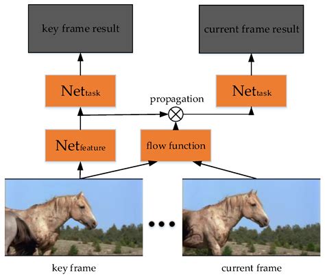 Visual Feature Learning on Video Object and Human Action Detection: A ...