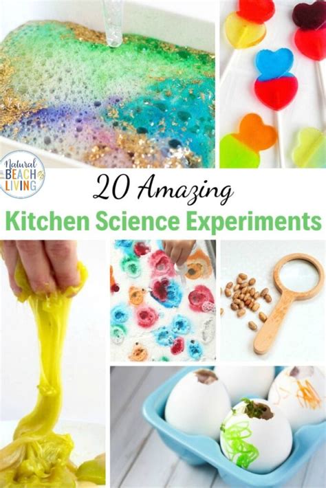 Science Experiments in the Kitchen 的图像结果