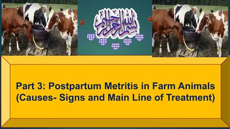 Part 3 Postpartum Metritis in Farm Animals(Causes- Signs and Main Line of Treatment ) Prof Dr ...