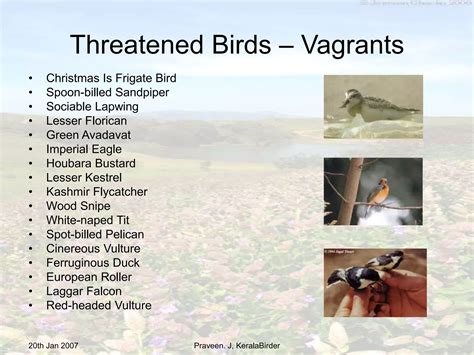 Threatened Birds & IBA Network of Kerala | PPT