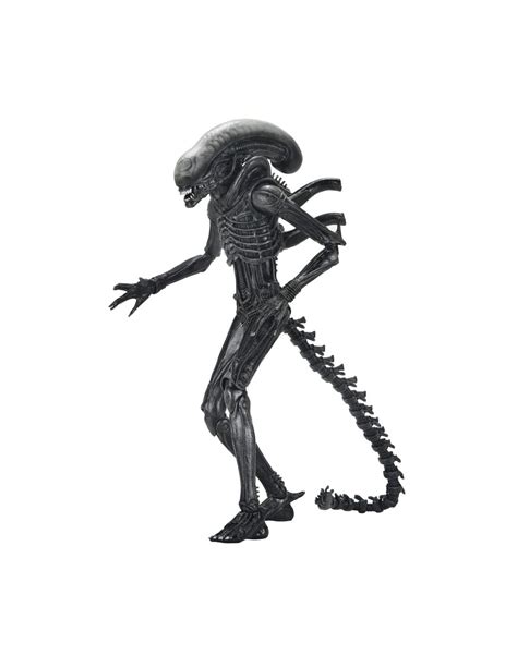 Figura Ultimate Xenomorph XX121 18 cm – Alien: Romulus