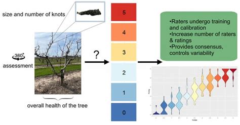 Black Knot Unraveled: Phenotypic Characterization of Disease Resistance ...