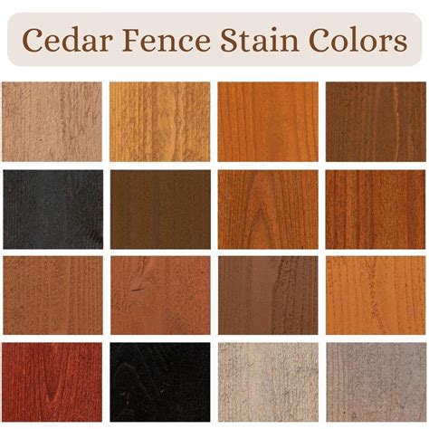 Best Stain Color For Cedar Fence at Scarlett Madgwick blog