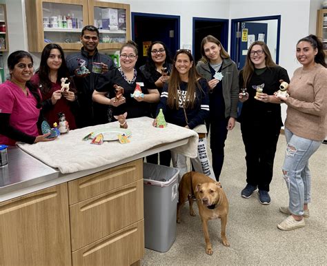 Hamlin Animal Hospital (@hamlinanimalhospital) • Instagram photos and ...