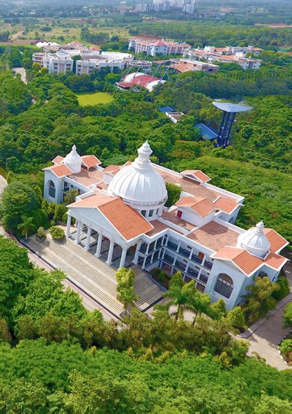 Alliance Management Studies International Conference (AMSICON) 2021 ...