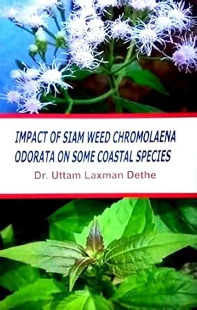 Impact of Siam Weed Chromolaena Odorata on Some Coastal Species : Uttam ...