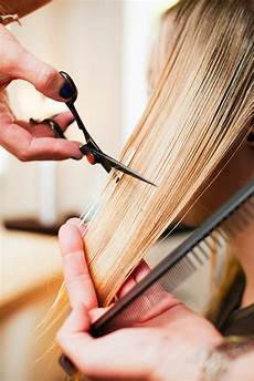 hair cutting style photos 9 common hair care myths hair care tips hair cutting style photos 9 common hair care myths hair care tips