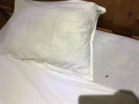 Tebessa Images - Vacation Pictures of Tebessa, Tebessa Province ...