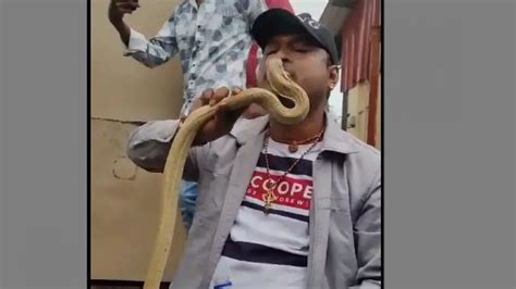 Odisha youth's dangerous stunt with cobra goes viral; experts warn ...