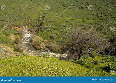 Jordan river Israel stock photo. Image of green, heights - 42877856