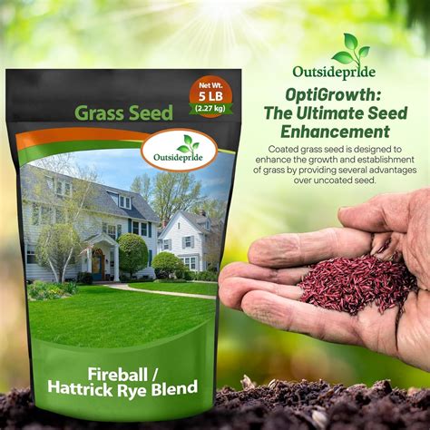 Rye Grass Field Sport Turf Rye Grass Seed Blend — Rohrer Seeds