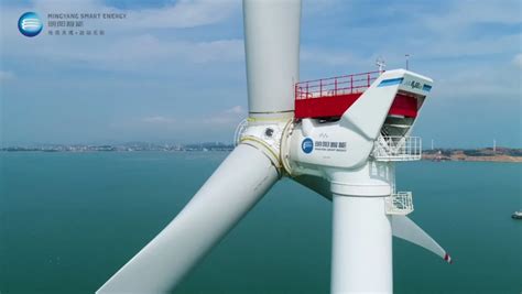 沪市风电公司紧抓“双碳”发展机遇 多领域创新提升效能