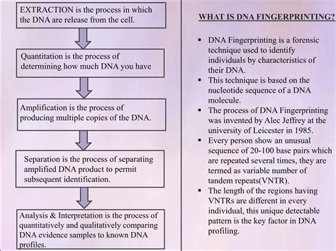 The power of dna fingerprinting in forensic science | PPTX