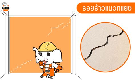 Basic Script 的图像结果
