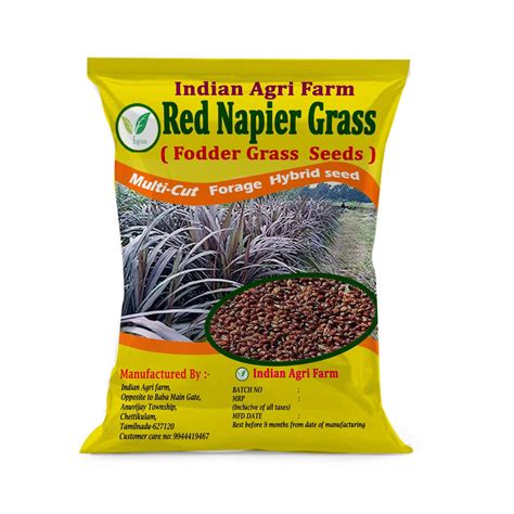 Iagrifarm Red Napier Grass Seed - 100 g - High Yield Multicut Fodder ...