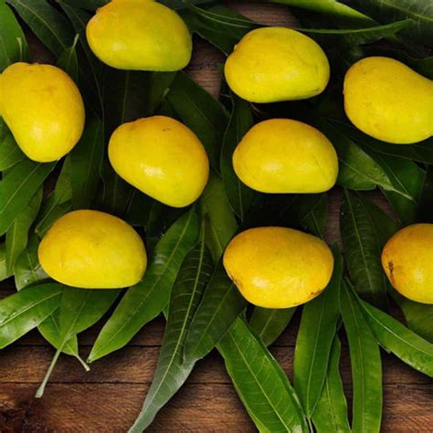 Buy Devgad Alphonso Mangoes Online - Direct from Devgad