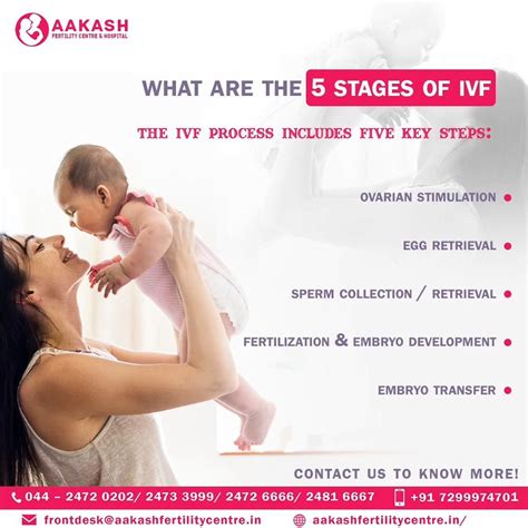 What are the 5 Stages of IVF: The IVF Process Including Five Key Steps: | Fertility center ...